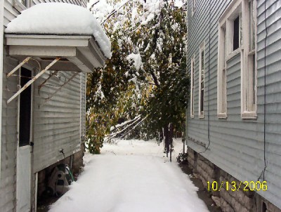 Our driveway / backyard