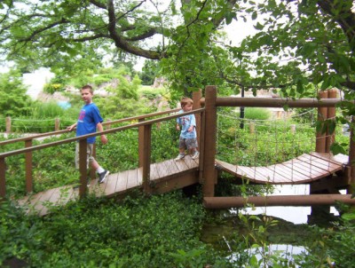 Kids zoo bridge
